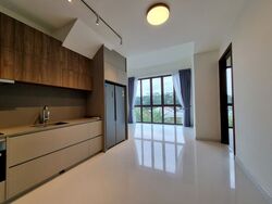 Parksuites (D10), Apartment #435659491